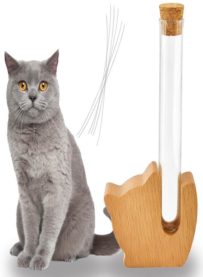 Atigrado Cat Whisker Holder, Cat Whisker Jar, Mini Glass Vase for Cat Whiskers, Elegant Memorial Gift for Pet Lovers, Pet Loss Gift for Dog and Cat Ashes and Hair Keepsake - Image 1