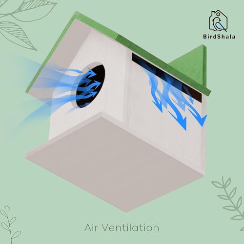 BIRDSHALA Bird House for Sparrow, Budgies & Finches with Air Ventilation and Mounting Hook (Green, Medium) - Image 4