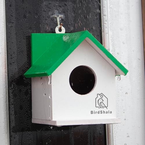 BIRDSHALA Bird House for Sparrow, Budgies & Finches with Air Ventilation and Mounting Hook (Green, Medium) - Image 3