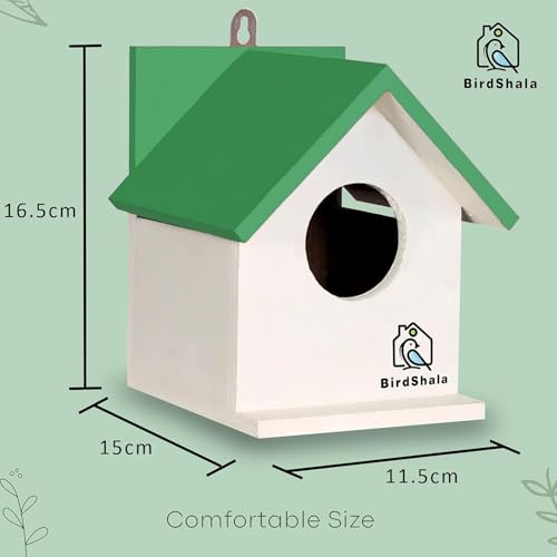 BIRDSHALA Bird House for Sparrow, Budgies & Finches with Air Ventilation and Mounting Hook (Green, Medium) - Image 5