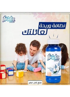 Frida Home All Purpose Home Cleaning Fragrance Clean 480 Ml - pzsku/Z4F28BFA3FEC6E07D16E2Z/45/_/1722068985/b63292f6-4705-464a-93b6-c68ebc2519e9