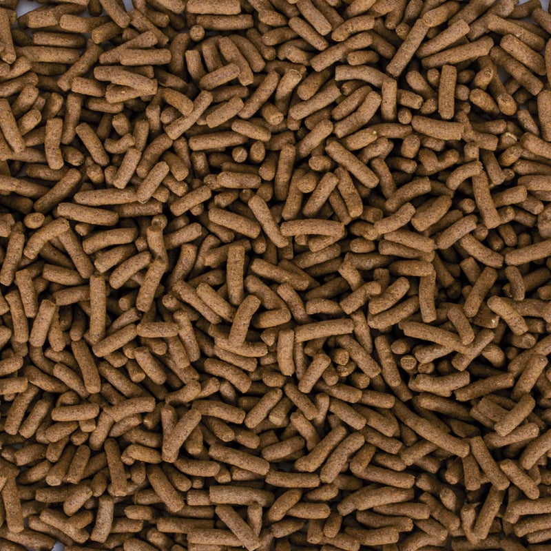 Tropical Softline Biorept Supreme Adult Turtle Food for All Aquatic Turtle & Tortoise Food 70 G/250 Ml - 11474,Pellet - Image 2