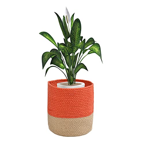 LaVichitra Braided Cotton Baskets | Planter Basket- Set of 2 (6 Inch), Orange - Image 3