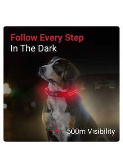 Tractive Tractive LED Light Up Dog Collar USB Rechargeable Waterproof (Red)  - Image 2