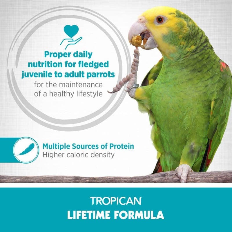 HARI Tropican Bird Food, Hagen Parrot Food with Peanuts & Sunflower Seeds, Maintenance Parrot Granules, Lifetime Formula, 1.8 lb Bag - Image 3