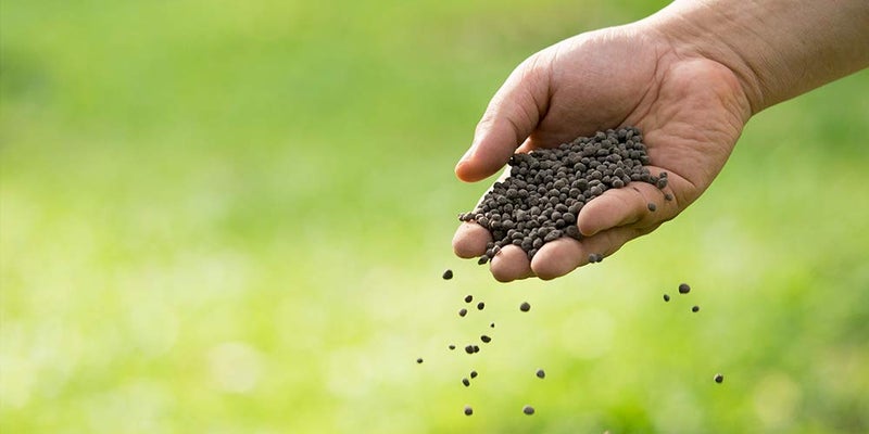 Well Grower Rose Food Organic Fertilizer and Manure 500 GM and Super Prom Organic Fertilizer Granule 500 GM Combo - Image 5