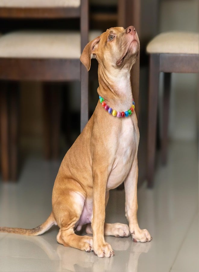 JOGIA® Rainbow Beaded Dog Collar – Colorful Adjustable Decorative Collar for Small, Medium & Large Dogs - Image 2