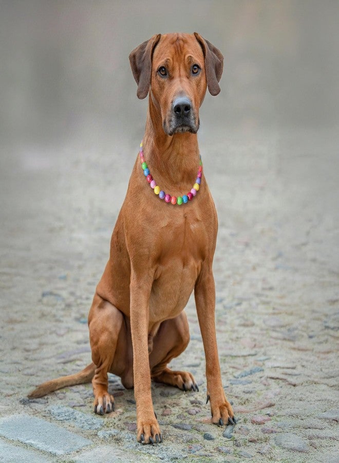 JOGIA® Rainbow Beaded Dog Collar – Colorful Adjustable Decorative Collar for Small, Medium & Large Dogs - Image 4