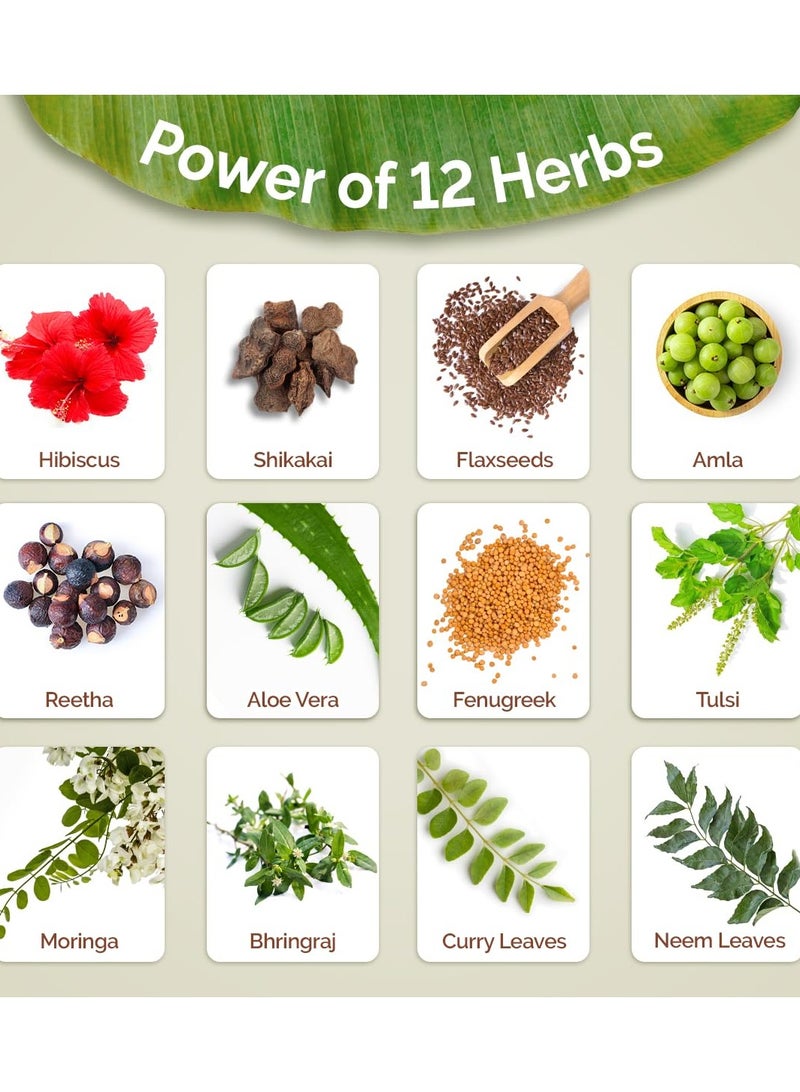 Mama Earth Kerala Thaali Shampoo with Hibiscus, Shikakai, Amla, Flax Seeds for Thick & Long Hair - 250 ml| Ready To Use Thali | Gently Cleanses | Adds Shine | 12 Potent Herbs | 100% Natural Herbs - Image 5