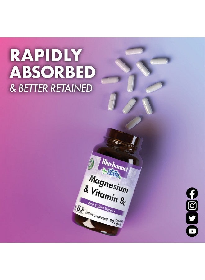 بلو بونيه Bluebonnet Nutrition Magnesium & B6 - 400 mg Magnesium أكسيد وأسبارتات مع فيتامين B6 25 mg - مركب مغنيسيوم للقلب والدماغ للنساء والرجال* - غير معدل وراثيًا، نباتي، خالٍ من الغلوتين - 90 كبسولة نباتية - Image 4