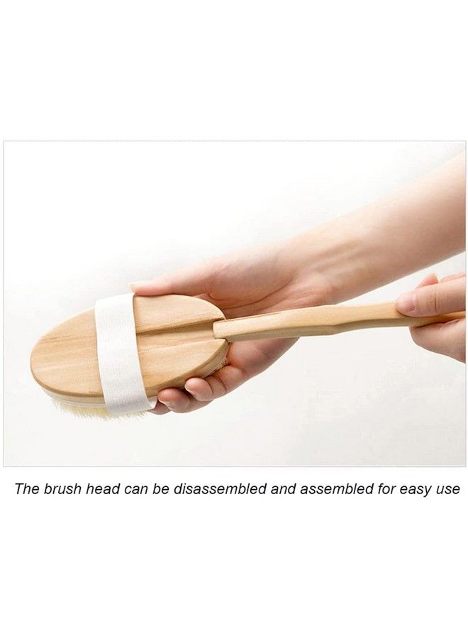 Amzgear Body Brush For Wet And Dry Brushing Gentle Exfoliating For Glowing Skinget Rid Of Your Cellulite And Dry Skin Gentle Massage Nodes Loofah For Women Long Wooden Handle (Detatchable) - Image 5