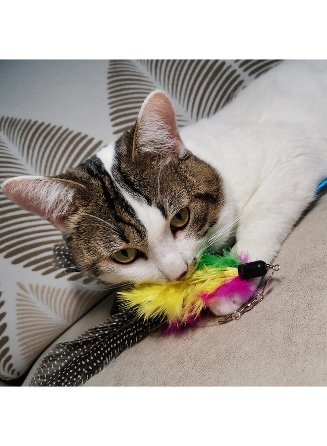 TIENAILING Cat Feather Toys Refills Cat Wand Replacement Feathers, 10 Pcs Feather Cat Toy Refills, Cat Toy Wand Attachments Feathers For Cat Toys - Image 4