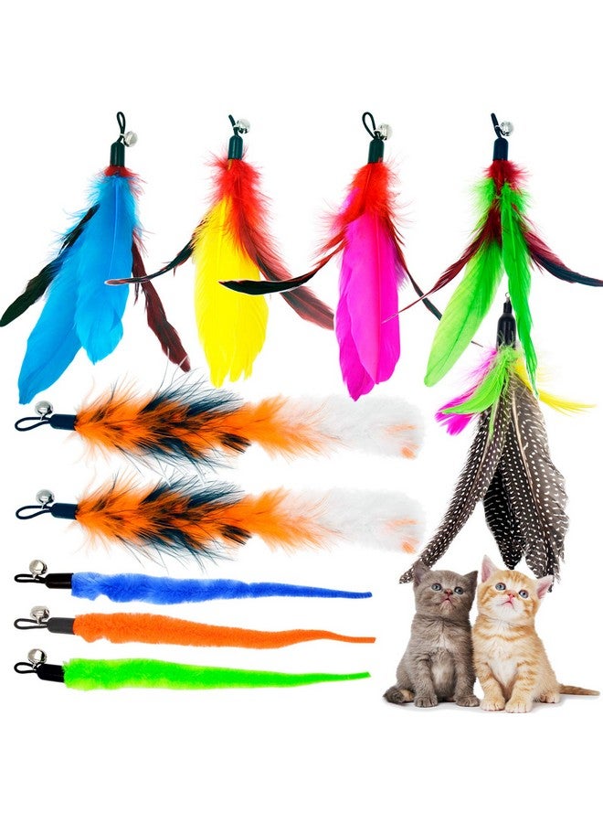 TIENAILING Cat Feather Toys Refills Cat Wand Replacement Feathers, 10 Pcs Feather Cat Toy Refills, Cat Toy Wand Attachments Feathers For Cat Toys - Image 1