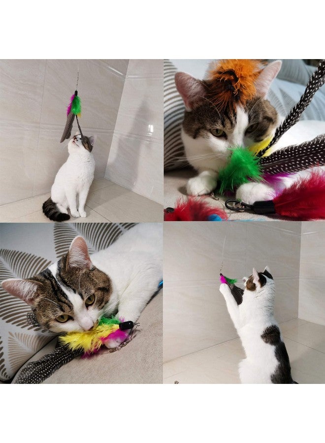 TIENAILING Cat Feather Toys Refills Cat Wand Replacement Feathers, 10 Pcs Feather Cat Toy Refills, Cat Toy Wand Attachments Feathers For Cat Toys - Image 2