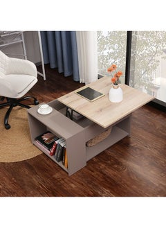 DANUBE HOME Spence Lifttop Coffee Table With Storage Multifunctional Living Room Table Space Saving Center Table Modern Design Furniture For Home L 80x60x42 cm Oak Grey  - Image 1