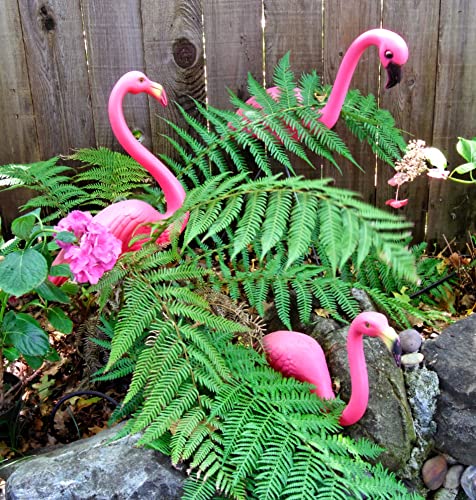 GiftExpress Pink Flamingos Yard Decorations - 4 Pack Extra Large 24" Tall Plastic Flamingo Statue w/Metal Stakes - Lawn Ornaments & Garden Decor for Outdoor Parties - Image 5