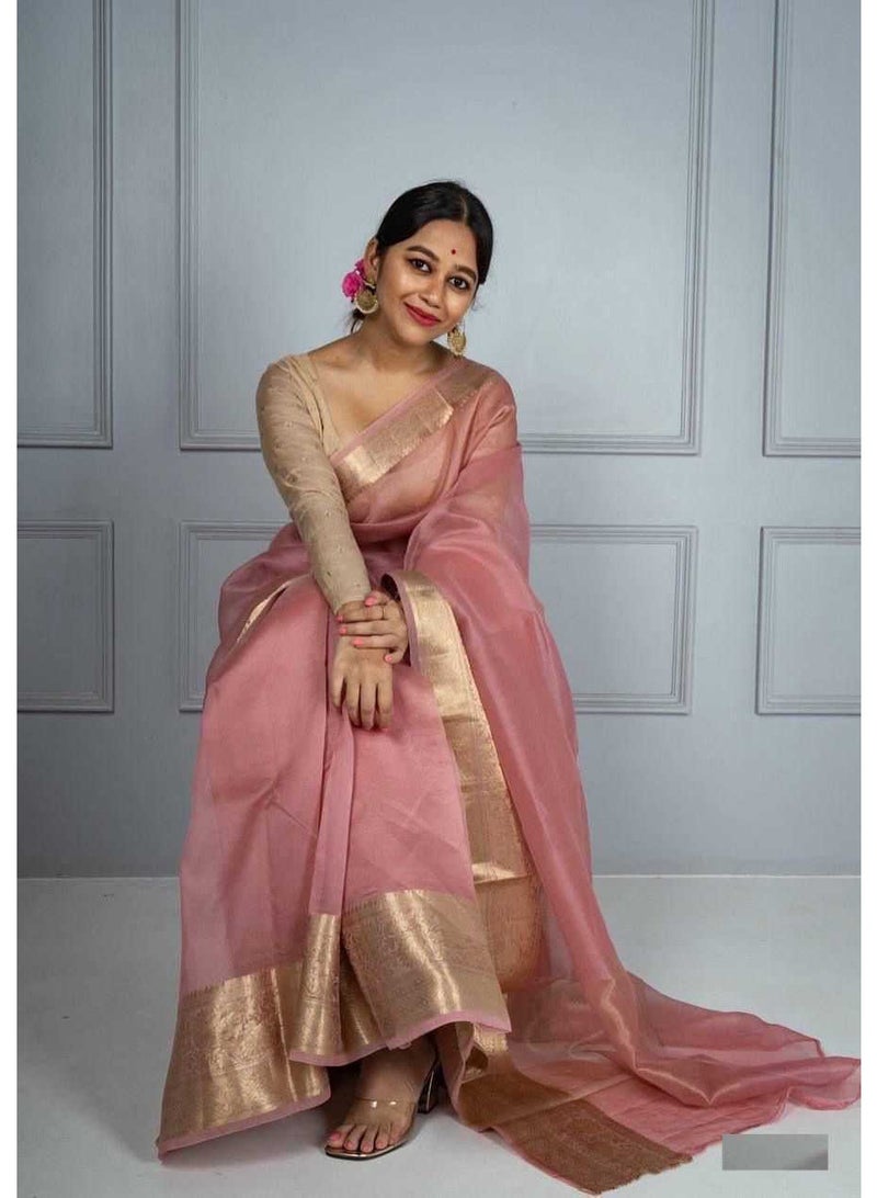 Organza saree | Women | India | organza Saree with printed works | Printed saree
