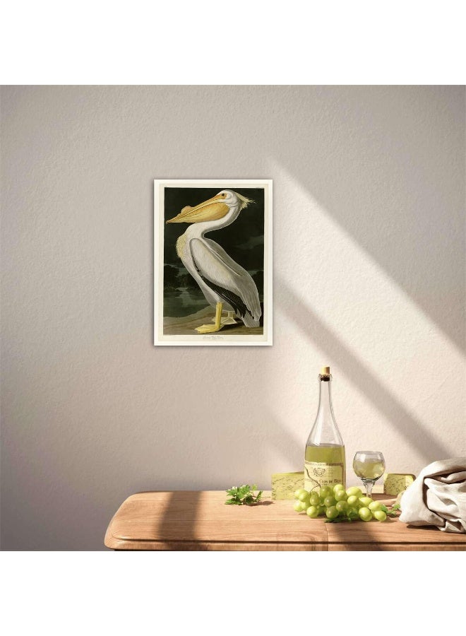 Home Trove Meishe Art Poster Print Retro Vintage Birds Antique Red Flamingo Pelican Wild Animals Decorative Illustration Home Wall Decor (D)  - Image 5