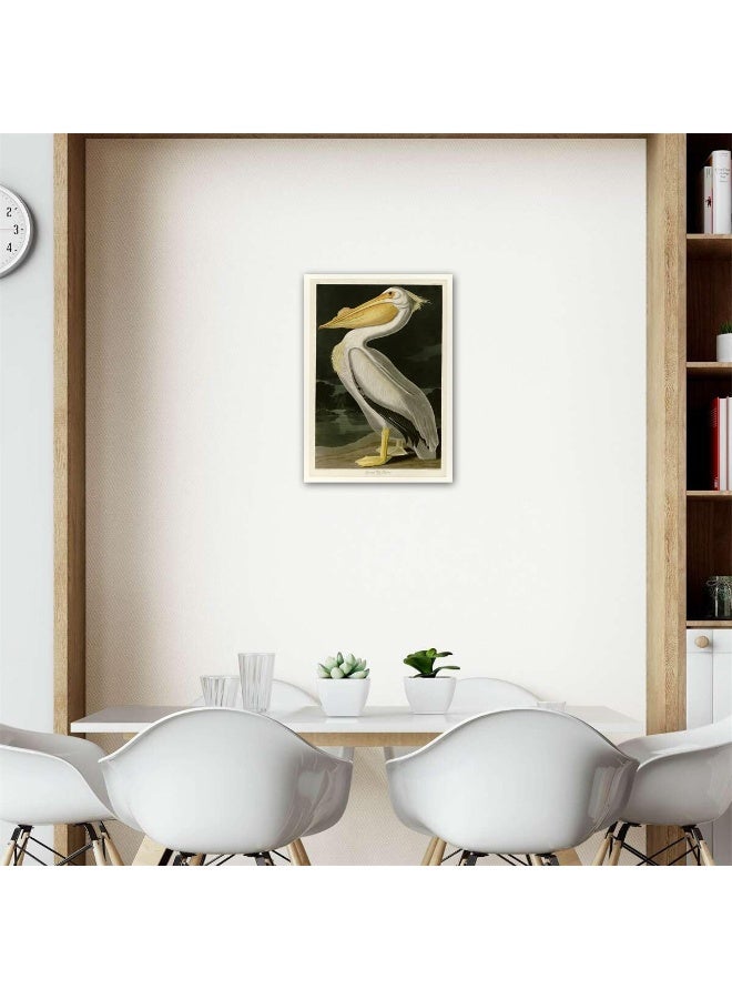 Home Trove Meishe Art Poster Print Retro Vintage Birds Antique Red Flamingo Pelican Wild Animals Decorative Illustration Home Wall Decor (D)  - Image 3