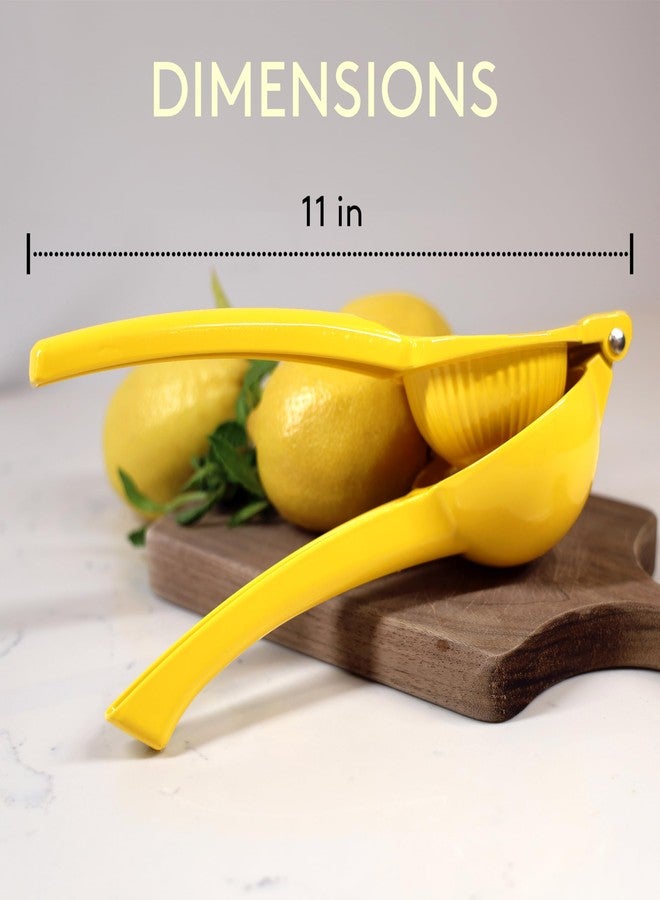JS Gourmet Metal Lime and Lemon Squeezer Hand Press Manual Citrus Fruit Juicer with Comfortable Handle, Easy to Use for Extracting Juice and Making Ceviche, Lemonade, Margaritas and More - Image 3