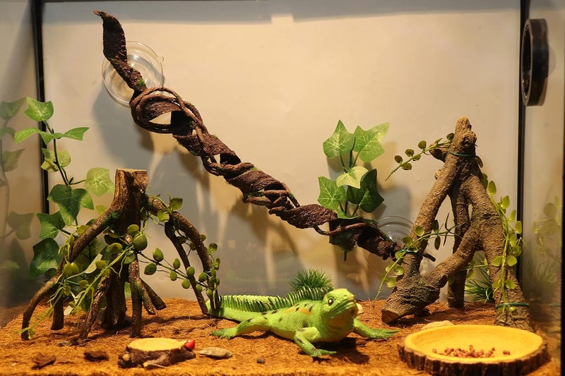 AQUA KT فرع من منتج AQUA KT Reptile Corner مزود بأوراق خضراء وديكور لبيئة صحراوية مناسب للسحالي والثعابين وتنين اللحية والكاميلا والسرطان الانطوائي وجربوع الفهد والبرمائيات. - Image 3