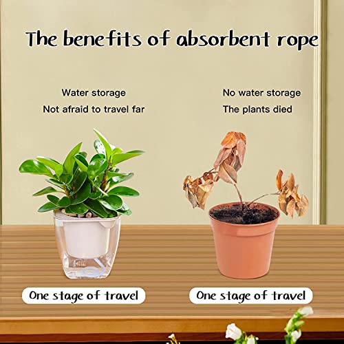 Tim Tim Agro Self Watering Wick Cord, Sonku 80 Feet Nylon String Rope for Self-Watering Planter Pot DIY Automatic Watering Device System Potted Plant Sitter Auto Drip Irrigation Waterer - Image 3