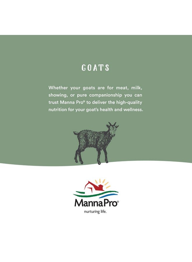 Manna Pro Lamb Milk Replacer - High in Protein to Support Growth - Powered by Opti-Gut™ to Support Gut Health & Digestion - Easy-To-Mix Formula - 3.5 Pounds - Image 5