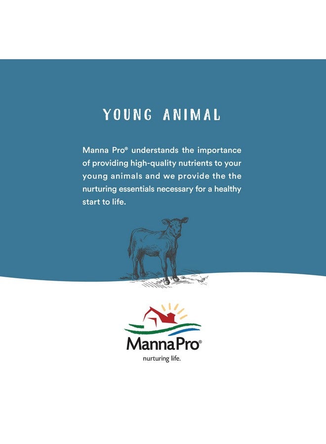 Manna Pro Lamb Milk Replacer - High in Protein to Support Growth - Powered by Opti-Gut™ to Support Gut Health & Digestion - Easy-To-Mix Formula - 3.5 Pounds - Image 4