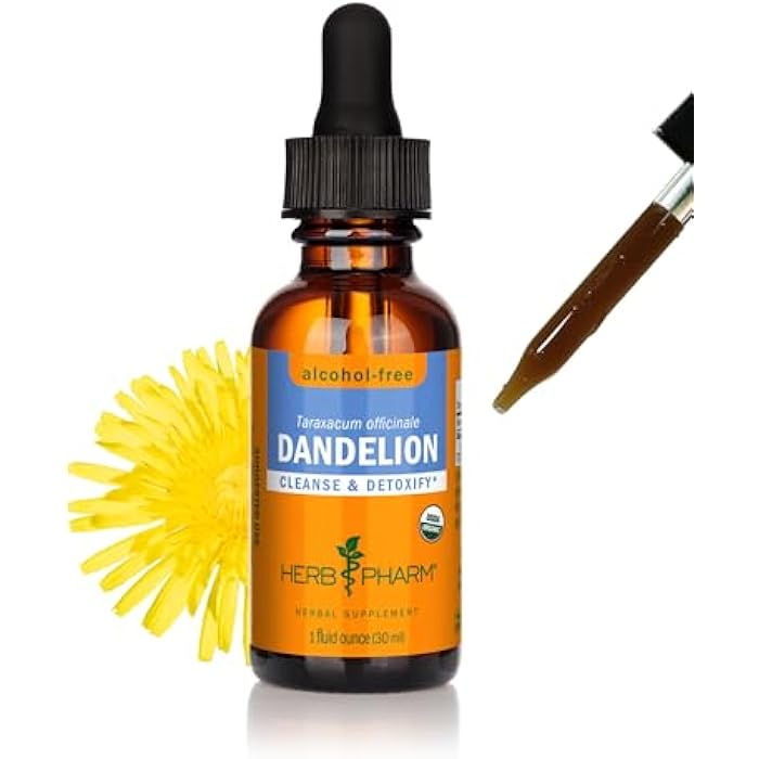 Herb Pharm Certified Organic Dandelion Liquid Extract for Cleansing and Detoxification, Alcohol-Free Glycerite, 1 Fl Oz - Image 1
