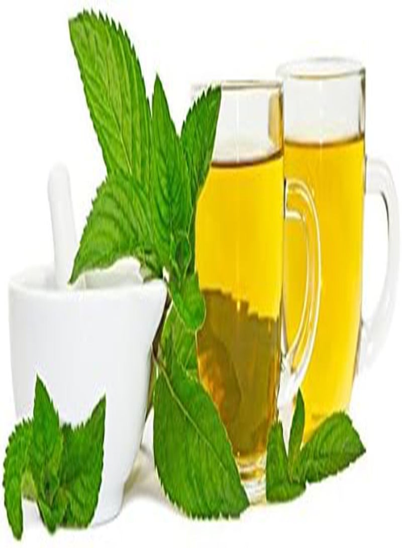 GGOOT Lemon Balm, Melissa Melissa officinalis - - Image 2