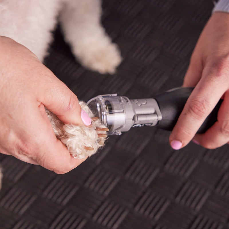 Dremel Pet Grooming Nail Guard Attachment, Ideal for Dog & Cat Nail Trimming, AT02-PGK - Image 4