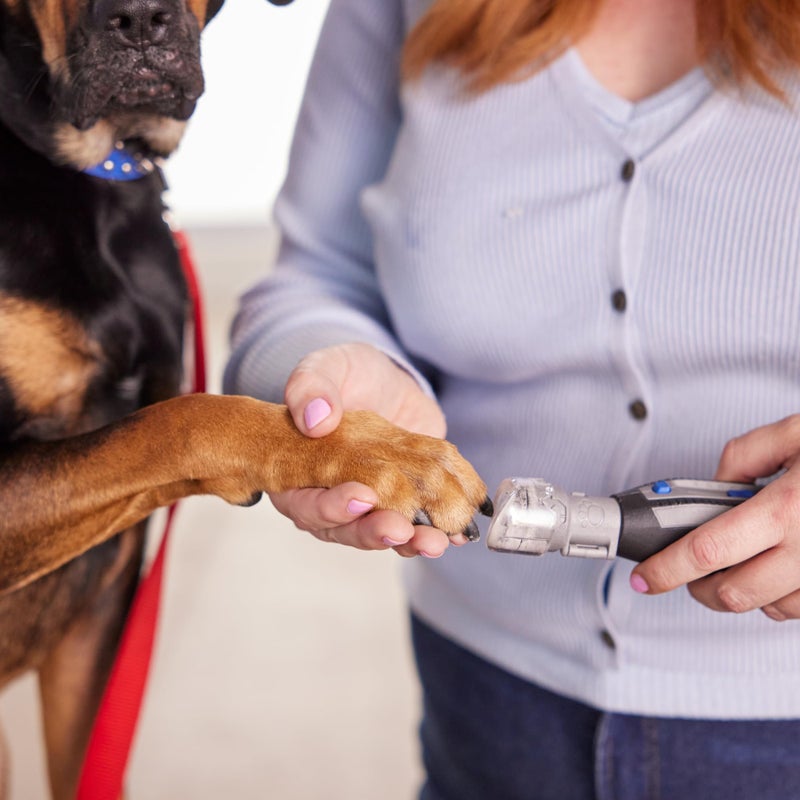 Dremel Pet Grooming Nail Guard Attachment, Ideal for Dog & Cat Nail Trimming, AT02-PGK - Image 3