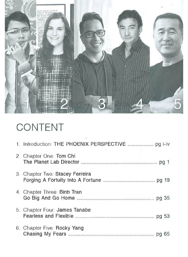 The Phoenix Perspective - Image 3