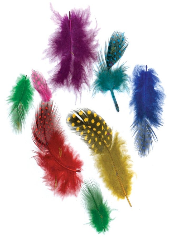 Zucker Feather (TM) - Loose Guinea Plumage Mix Dyed - Classic Mix