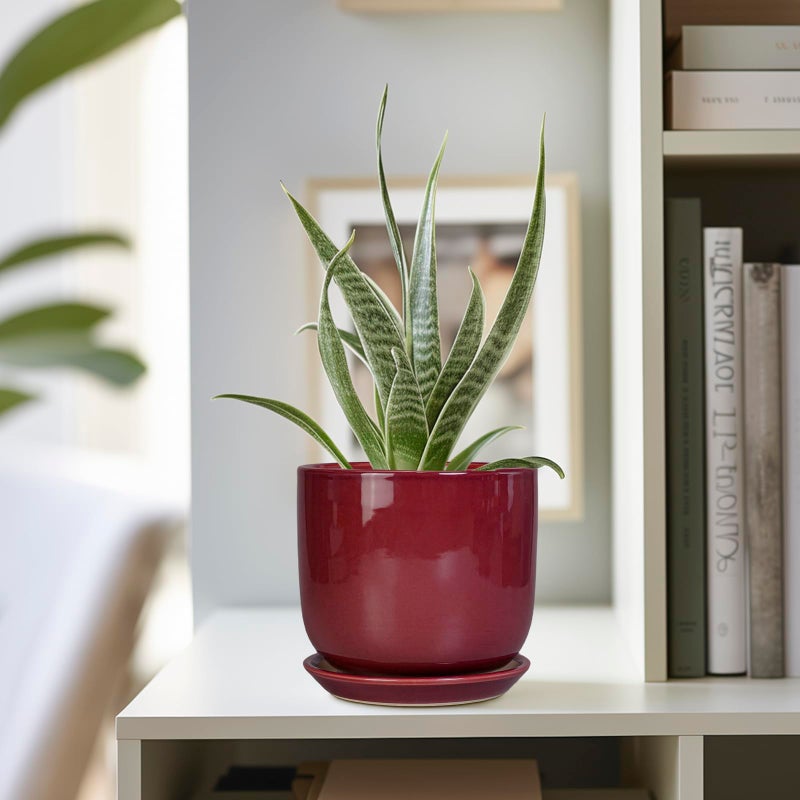 SUNPOTFOR Ceramic Plant Pot - 5 Inch Modern Round Planter for Indoor Plants with Drainage Hole and Saucer, Patio Office House Room Bathroom Decor, Red - Image 5