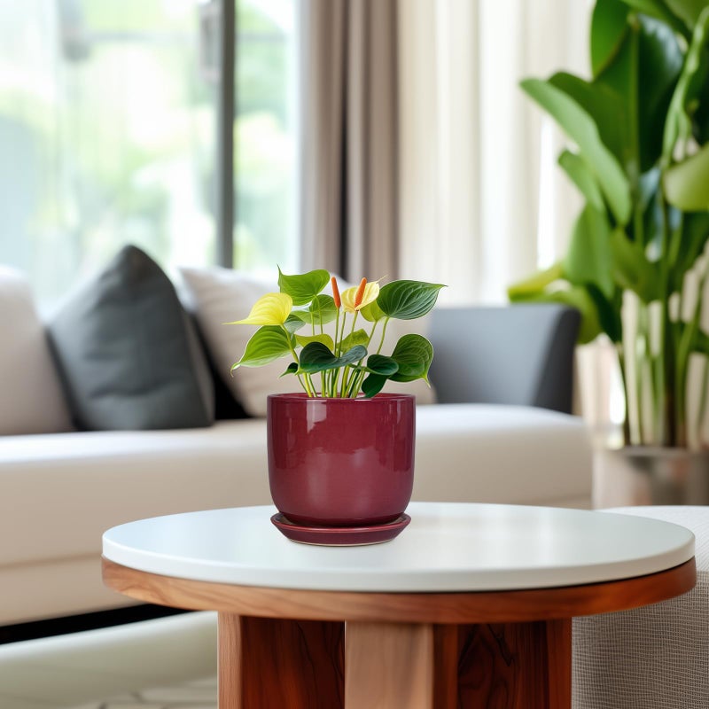 SUNPOTFOR Ceramic Plant Pot - 5 Inch Modern Round Planter for Indoor Plants with Drainage Hole and Saucer, Patio Office House Room Bathroom Decor, Red - Image 4