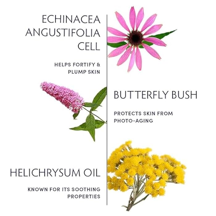 Naturopathica Plant Stem Cell Booster Serum, Daily Anti-Aging Face Serum to Smooth Fine Lines, Firming Facial Serum Helps Plump & Protect Skin, 1.18 fl oz - Image 3