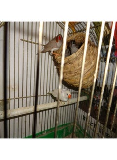 Hamiledyi Bird Nest Grass Bird Hut Outdoor Hanging Birdhouse Canary Nest Chickadee House Wren Nest Fiber Roosting Pocket For Parakeet Parrot Cockatiel Finch  - Image 2