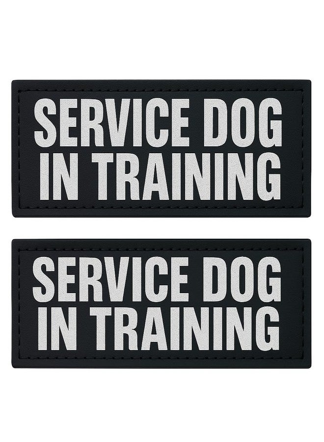 Albcorp Reflective Service Dog In Training Patches with Hook Backing for Service Animal Vests /Harnesses Large (6 X 2) Inch - Image 1