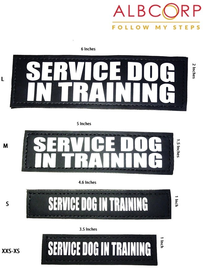 Albcorp Reflective Service Dog In Training Patches with Hook Backing for Service Animal Vests /Harnesses Large (6 X 2) Inch - Image 3