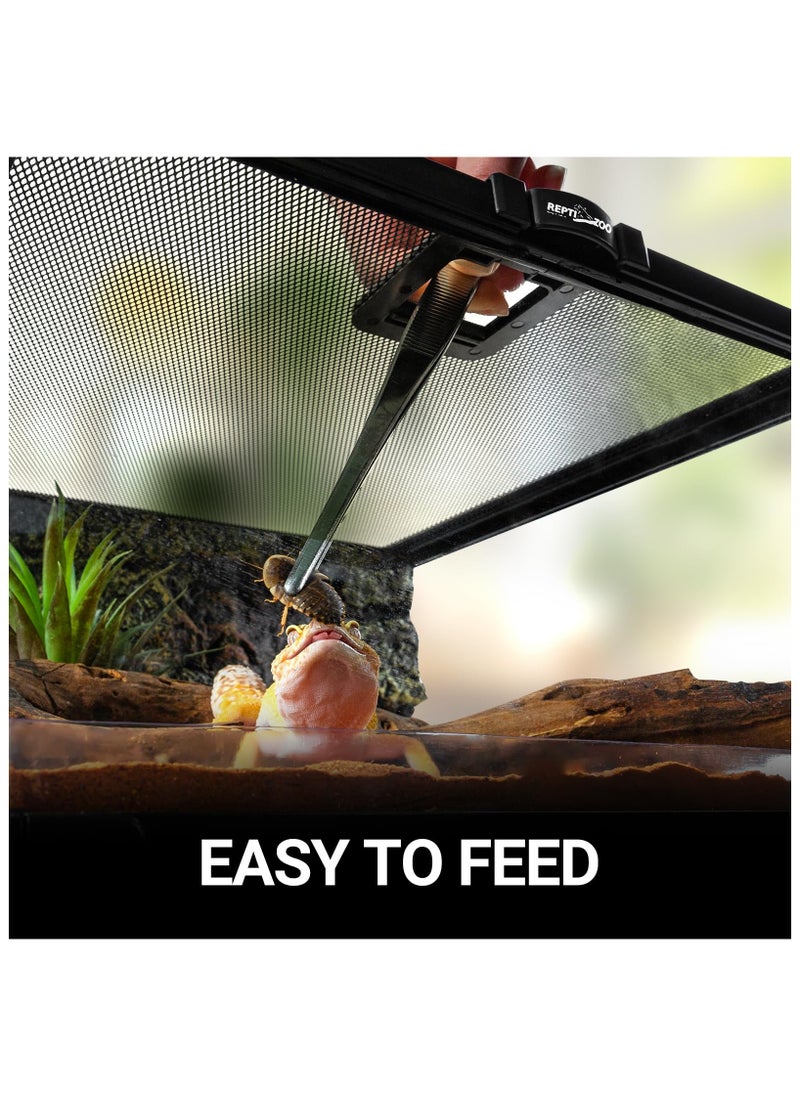 REPTIZOO - REPTI ZOO Mini Reptile Glass Terrarium Tank, 21" x 21" x 15cm" Reptile Detachable Enclosure Habitat with Top Feeding and Screen Ventilation (AK01BG) - Image 1