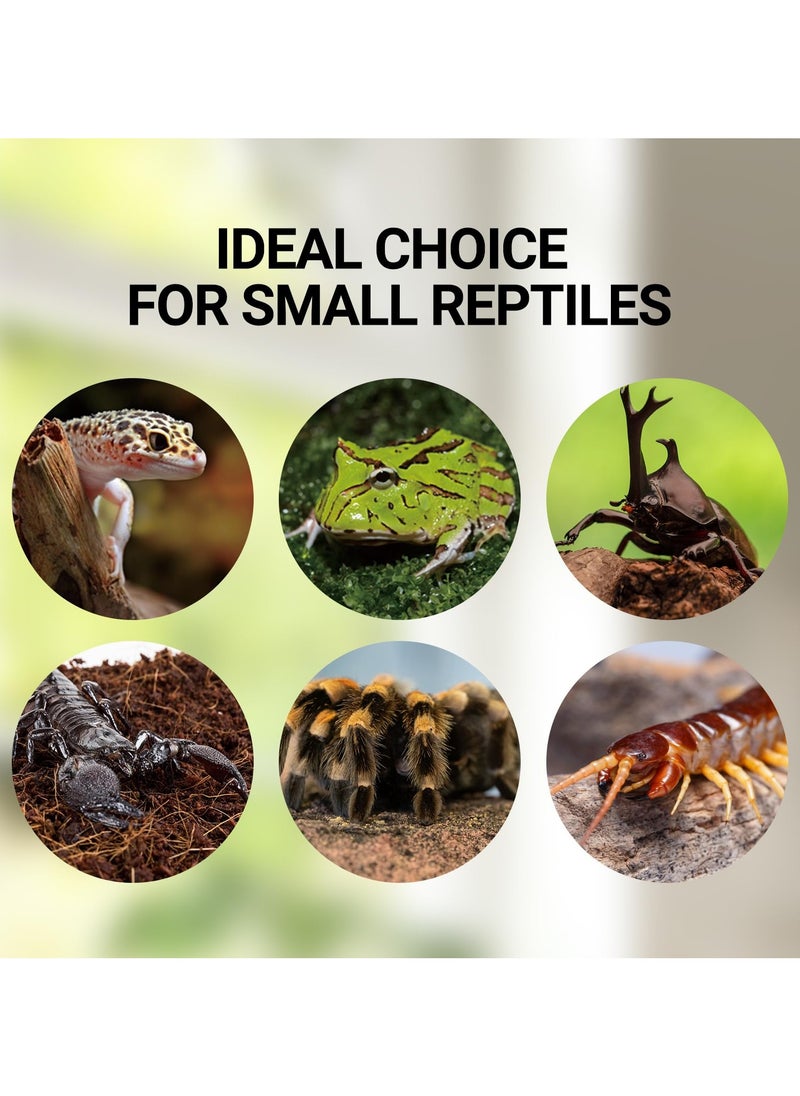 REPTIZOO - REPTI ZOO Mini Reptile Glass Terrarium Tank, 21" x 21" x 15cm" Reptile Detachable Enclosure Habitat with Top Feeding and Screen Ventilation (AK01BG) - Image 1