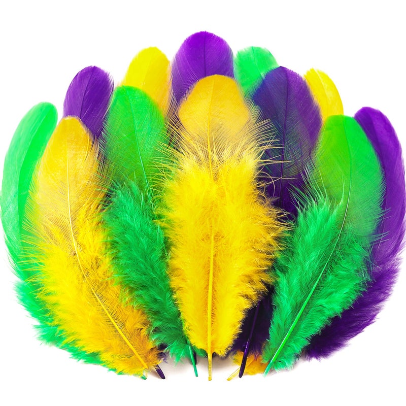 Soarer 300pcs Mardi Gras Feathers for Crafts - 3-5inch Feathers Bulk for Wedding Home Party, Dream Catcher Supplies and DIY Crafts(Mardi Gras) - Image 1
