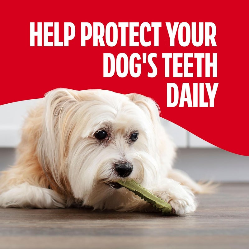 ميلك-بون مكملات غذائية للكلاب لتنظيف الأسنان من نوع Milk-Bone Brushing Chews، تعزز التنفس النقي، حجم صغير، عبوة وزنها 18.9 أونصة، تحتوي على 48 عظمة لكل عبوة. - Image 5