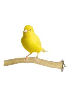 CHEWY BEAK Birds Stand Indonesian Java wood Parrot Perch for extra small Birds finch canary budgies  Wooden Tree branch Cage Accessories  - Image 1