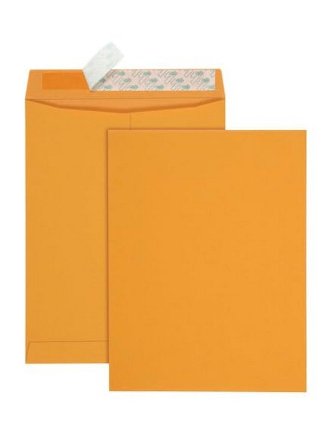 10 X 13 Catalog Envelopes With Self Seal Closure 28 Lb Brown Kraft Great Option For Mailing Storage And Organizing 100 Per Box (44762)