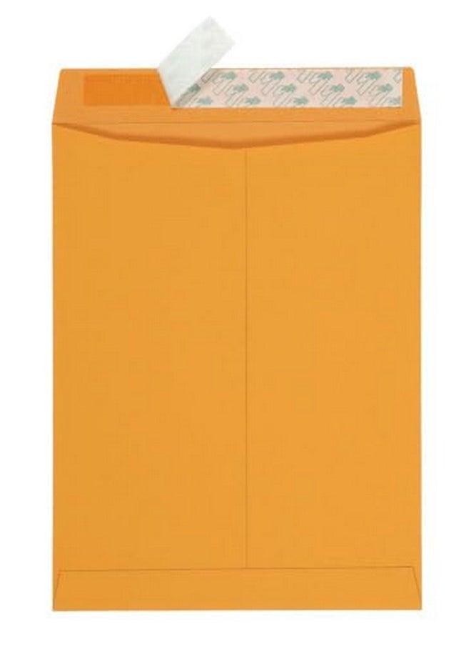 10 X 13 Catalog Envelopes With Self Seal Closure 28 Lb Brown Kraft Great Option For Mailing Storage And Organizing 100 Per Box (44762)