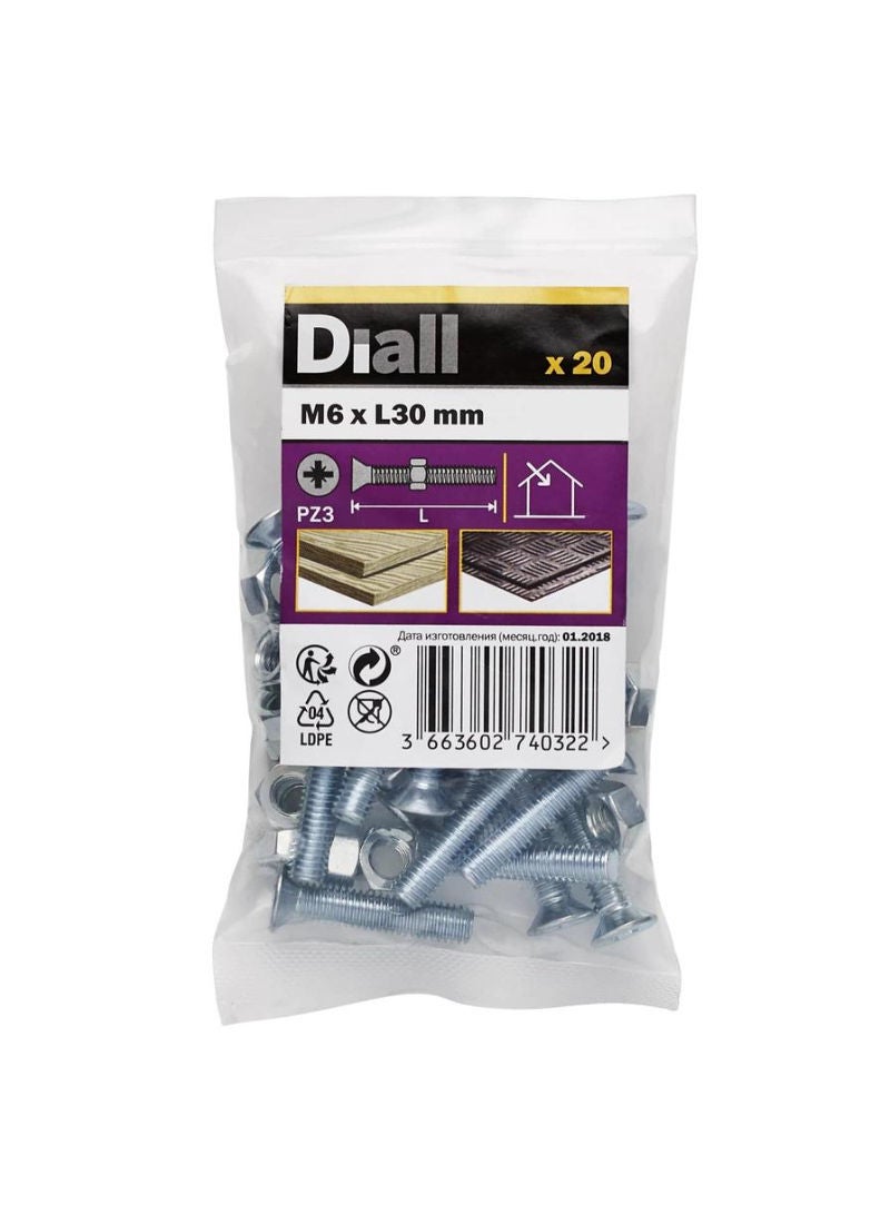 Zinc Plated Carbon Steel Machine Screw And Nut Pack M6 X 30 Mm 20 Piece