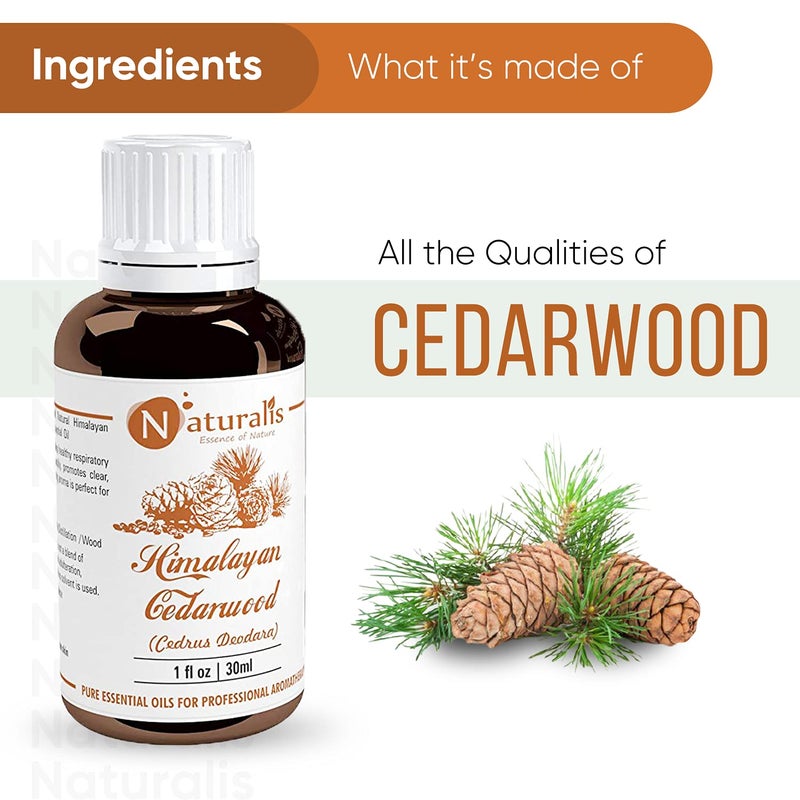 Naturalis Rosemary & Cedarwood Essential Oil Gift Pack of 2-30ml - Image 4