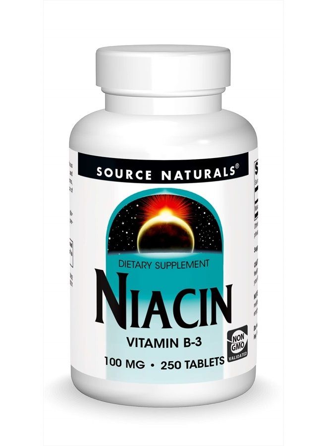 Source Naturals Niacin 100 mg Vitamin B-3, Non-GMO - 250 Tablets - Image 1